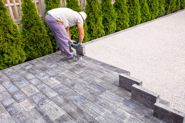 Best Local Driveway Pavers  in Elmhurst, IL